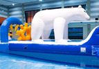 Zwembad run IJsbeer waterstormbaan 9 meter