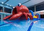 Obstakel run Krab waterstormbaan