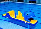 Walvis run met slide waterstormbaan 7 meter