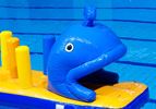 Walvis run met slide waterstormbaan 7 meter