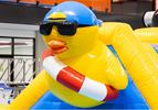 Zwembad Run Rubber duck waterstormbaan