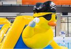 Zwembad Run Rubber duck waterstormbaan