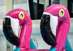 Flamingo run waterstormbaan 12 meter