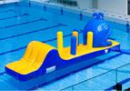 Walvis run met slide waterstormbaan 7 meter