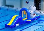 Nijlpaard run met slide waterstormbaan 7 meter 