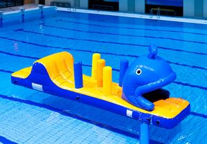 Walvis run met slide waterstormbaan 7 meter