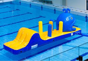 Walvis run met slide waterstormbaan 7 meter