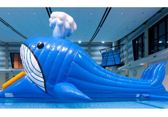 Obstakelrun walvis 12m