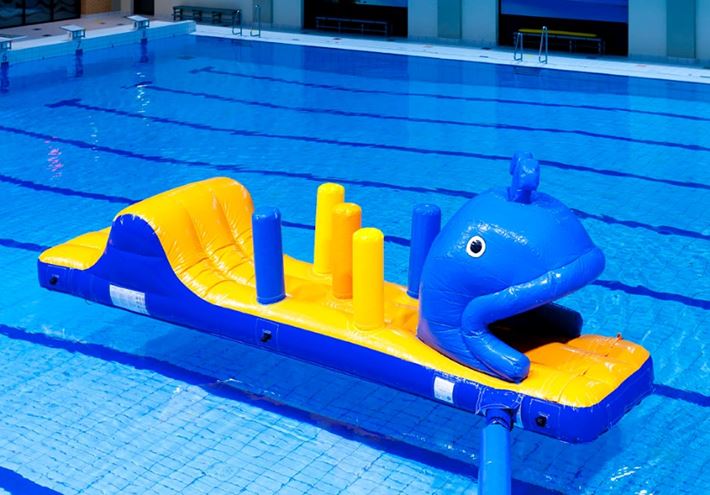Walvis run met slide waterstormbaan 7 meter