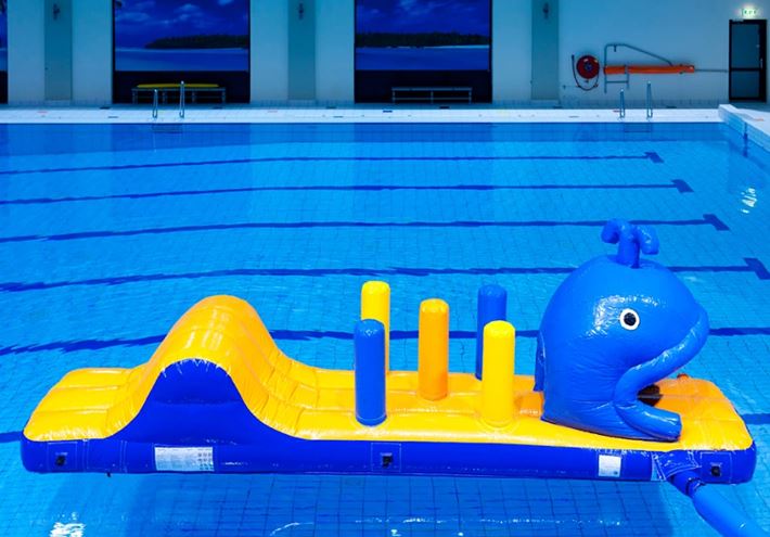 Walvis run met slide waterstormbaan 7 meter