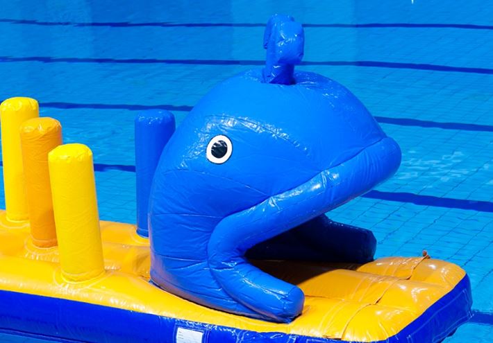 Walvis run met slide waterstormbaan 7 meter