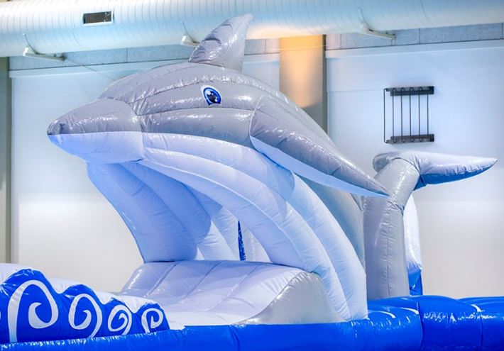 Dubbele Dolfijnrun Waterstormbaan